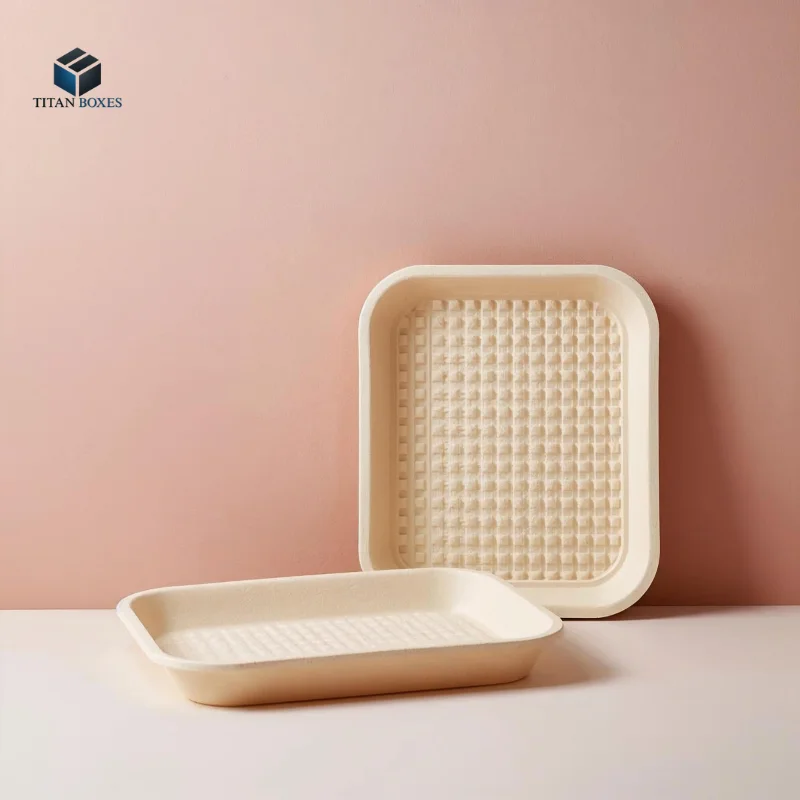 Reusable Polypropylene Trays 1